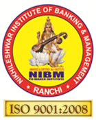 NIBM Logo